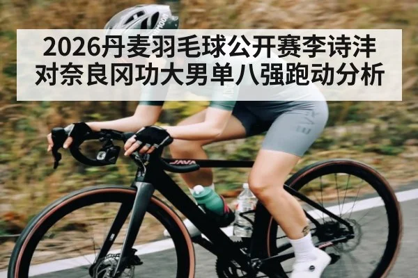 2026丹麦羽毛球公开赛李诗沣对奈良冈功大男单八强跑动分析